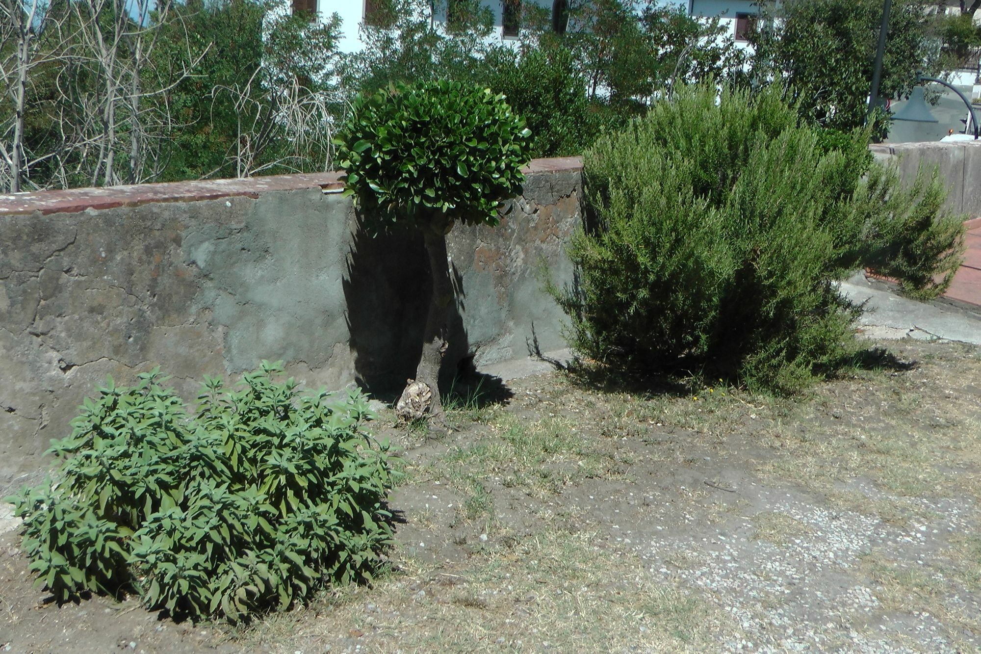 Ferienhaus Villa Della Querceta ลีวอร์โน ภายนอก รูปภาพ